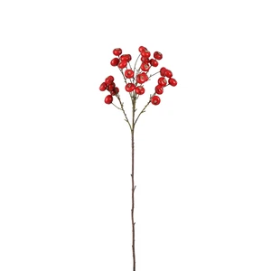 Apple Branch Red - 70cm