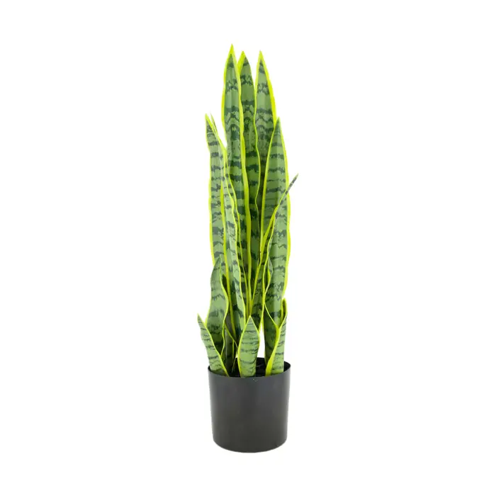 Artificial Sanseveria Size : 57cm