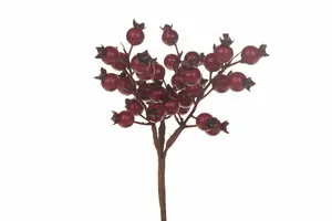 Berry Branch 20cm Foam - Red