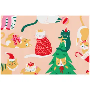 Danica - Let it Meow Decorative Dishtowel - image 5