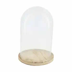 Glass Bell with Wooden Base Size : 25cm