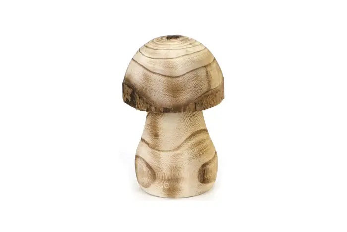 Paulownia Mushroom Brown Burned Size : 15cm