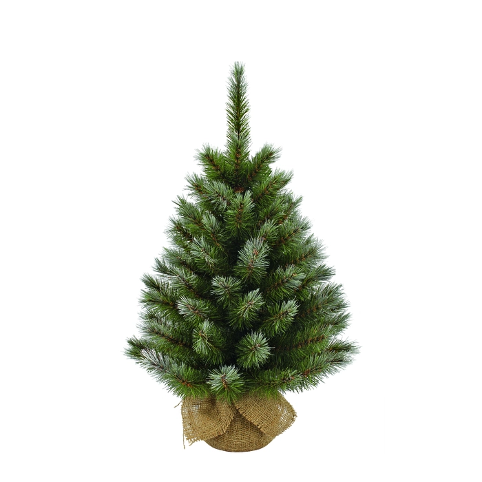 Pittsburgh X-Mas Tree with Burlap Green Frosted TIPS 79 - h60xd38cm