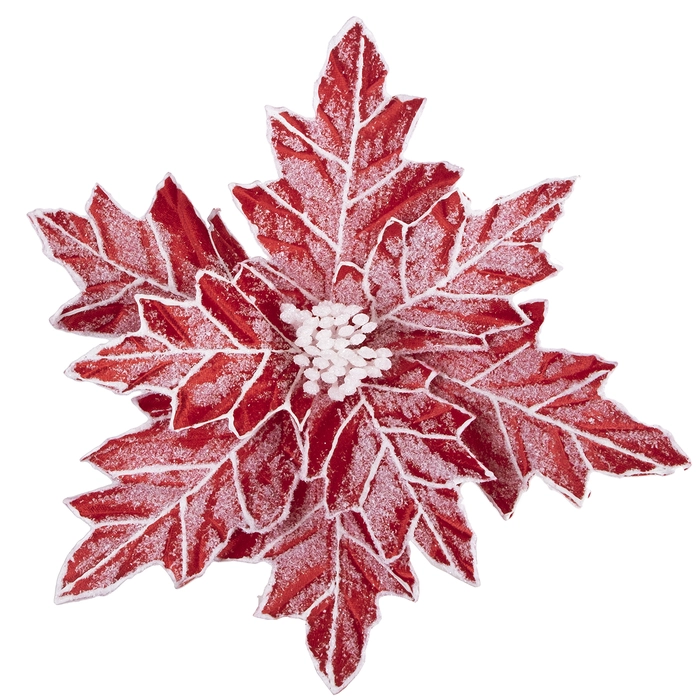 Poinsettia Head Red 12" Frosted with Pointy Edges