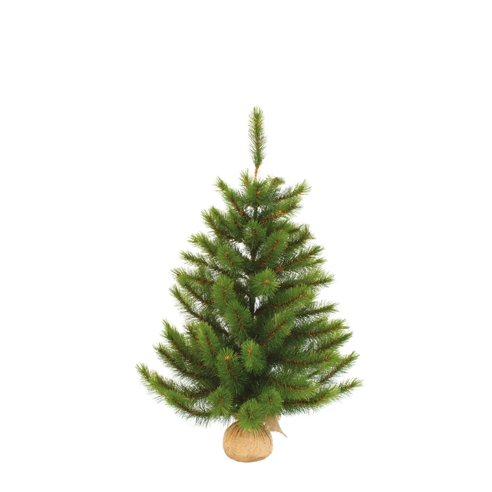 Richmond x-mas tree w/burlap green Size : h60xd53cm